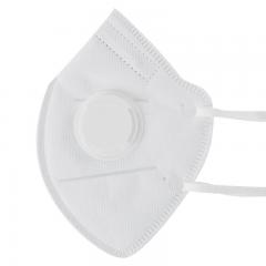 N95 Mask