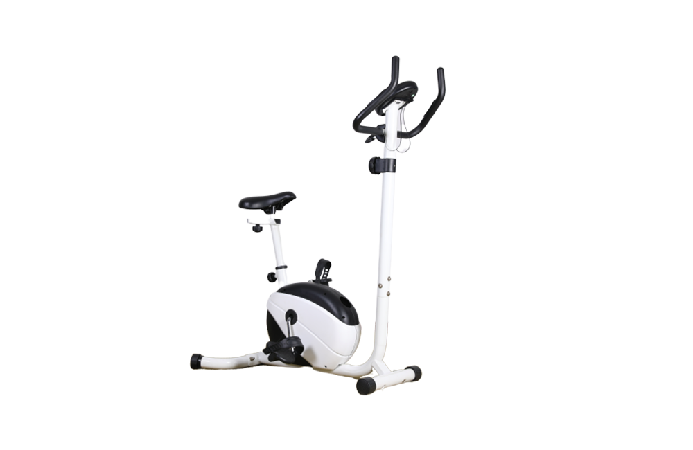 powertech exercise bike