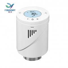Radiator Thermostat