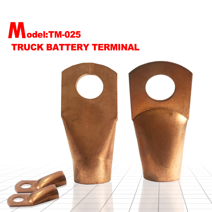 TM-025  TRUCK BATTER TERMINAL