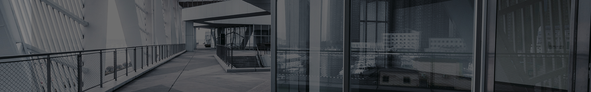 Company Profile