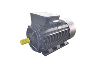 Y2 low voltage big power asynchronous motor