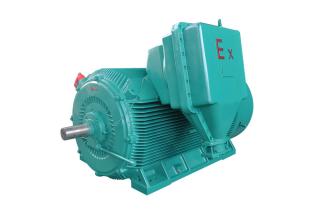 YB2 medium&high voltage high-efficient explosion-proof asynchronous motor