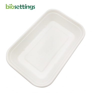 750ml Sugarcane Bagasse PFAS Free Biodegradable To Go Box Bagasse Food Container