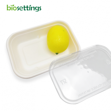 Biodegradable Disposable Sugarcane Bagasse PFAS Free 500ml Tray