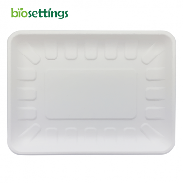 PFAS Free Disposable Sustainable Sugarcane Pulp Square Rectangle Sugarcane Bagasse Dinner Food Plate