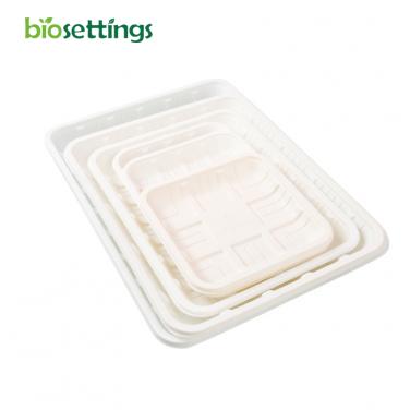 Hot-selling Tray Biodegradable Cornstarch Tray Disposable Tableware