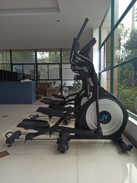 Real Pictures Of Elliptical Machine 9001 Models