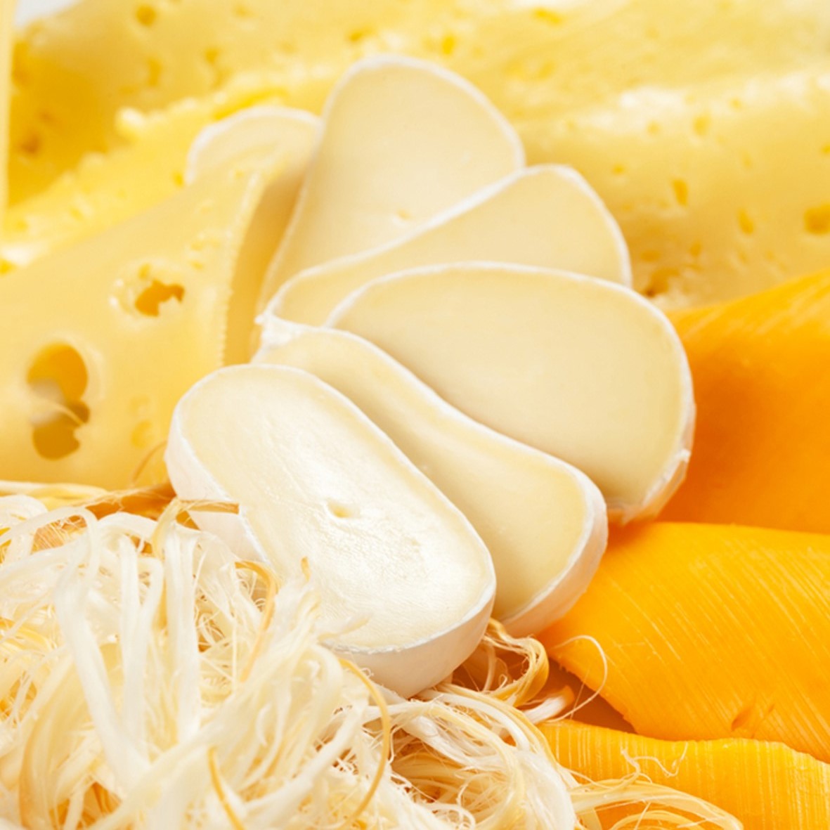 Breve introducción a la línea de producción de queso