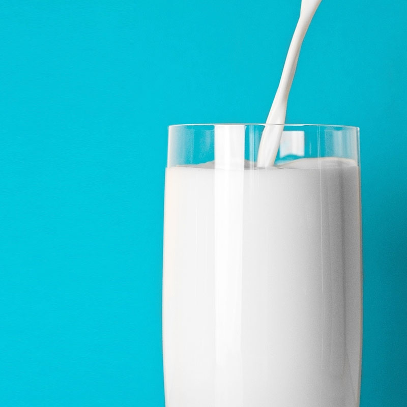 Key success points of plant-based milk production line