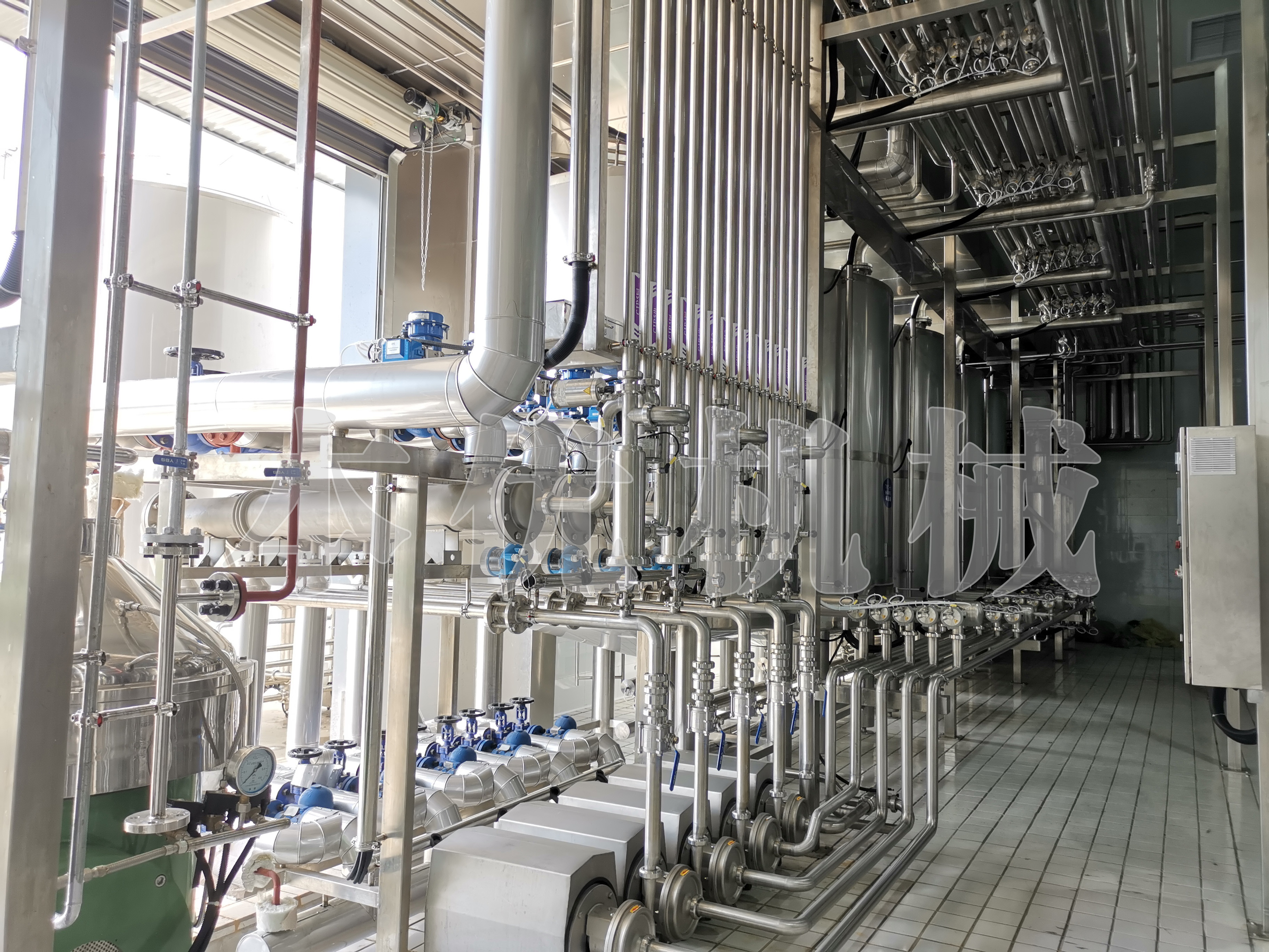 Modernizing Pasteurized Milk Production: A Comprehensive Solution with Shanghai Beyond Machinery