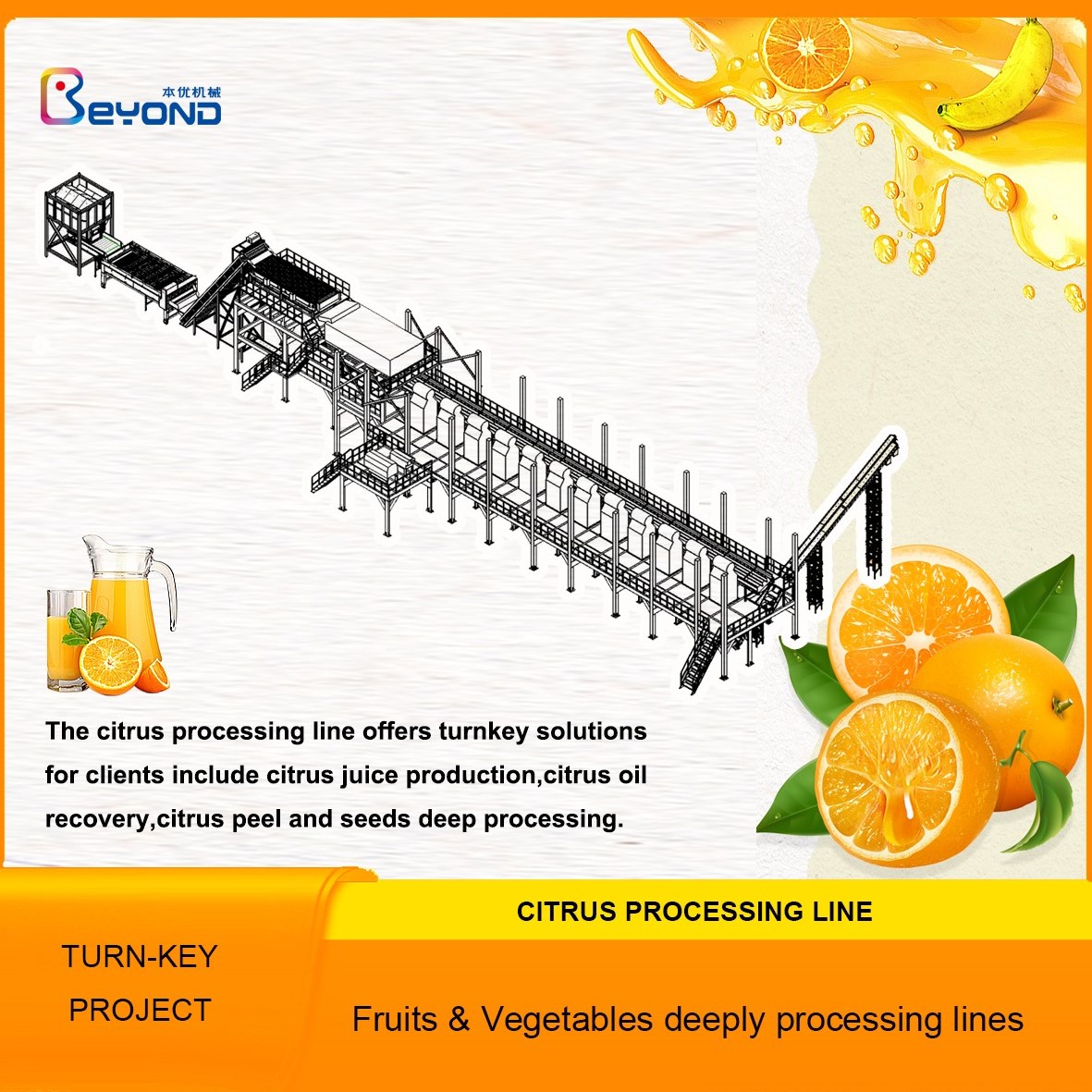 Línea de procesamiento de cítricos/limón/naranja