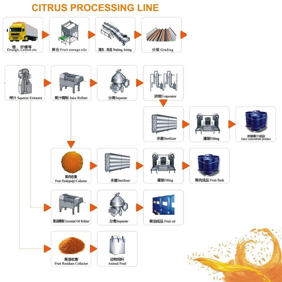 Ligne de traitement d'agrumes/citron/orange