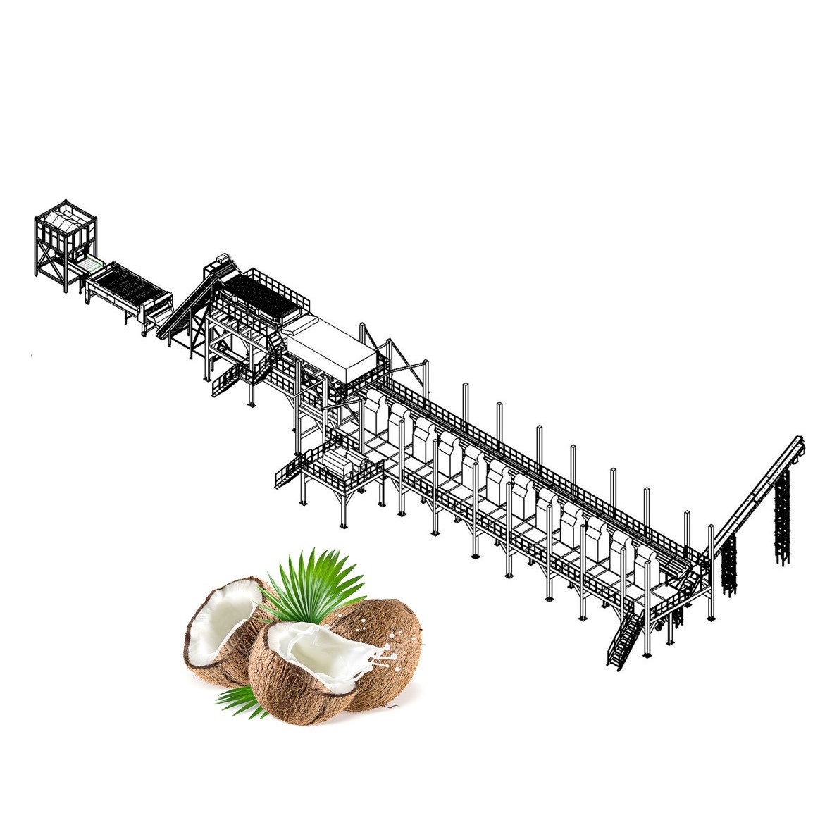 Coconut Processing Line