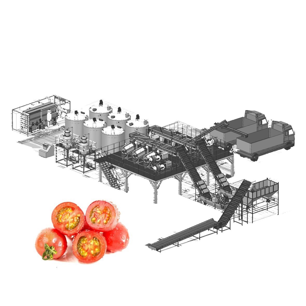 Línea de producción de procesamiento de tomate