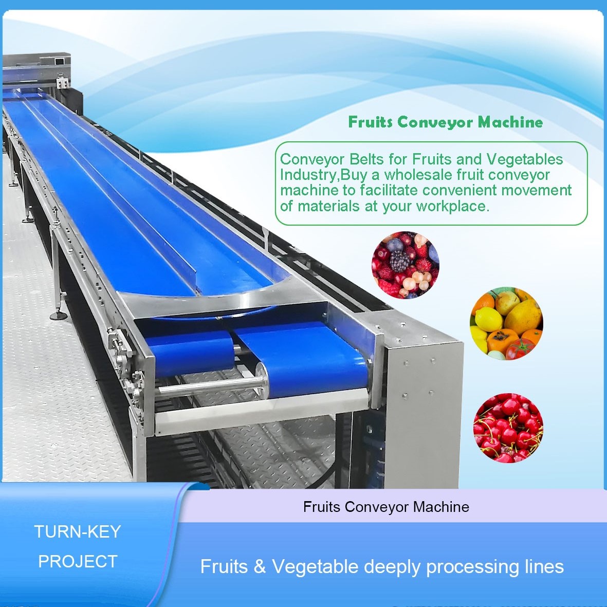 Fruits conveyor machine