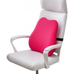 Sinowarm Memory Foam GT Lumbar support cushion