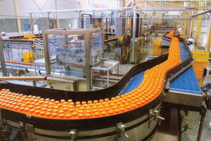 Blue veined cheese processing line