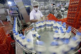 Mozzarella cheese production line 50 tons/d