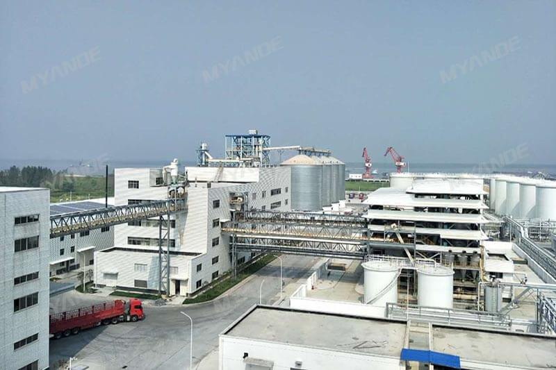 1,000TPD Rapeseed and Soybean Oil Extraction Plant