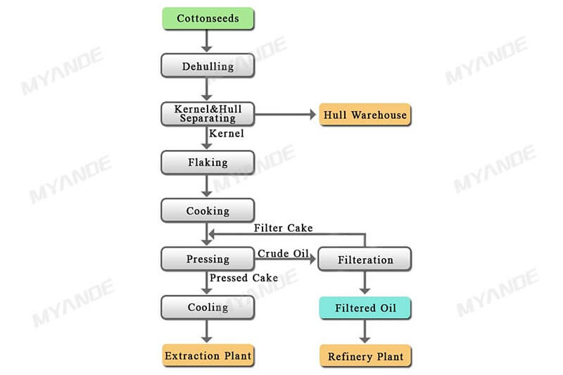 Cottonseed oil extraction process