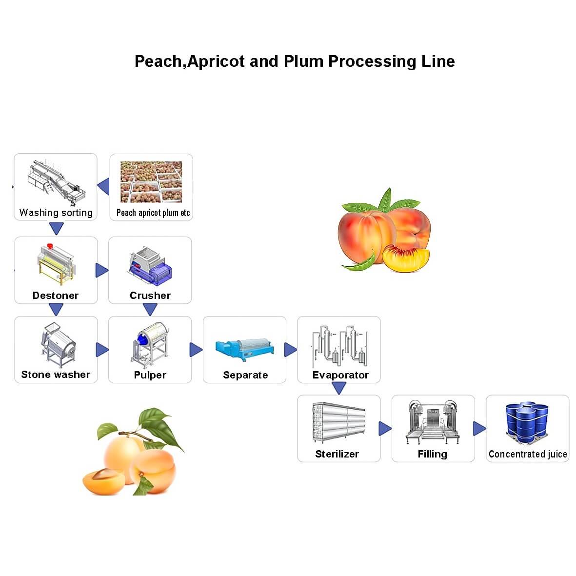 Peach processing line