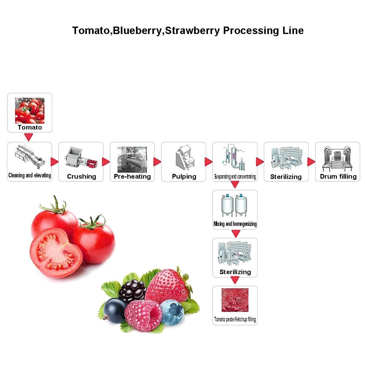 Línea de procesamiento de tomate