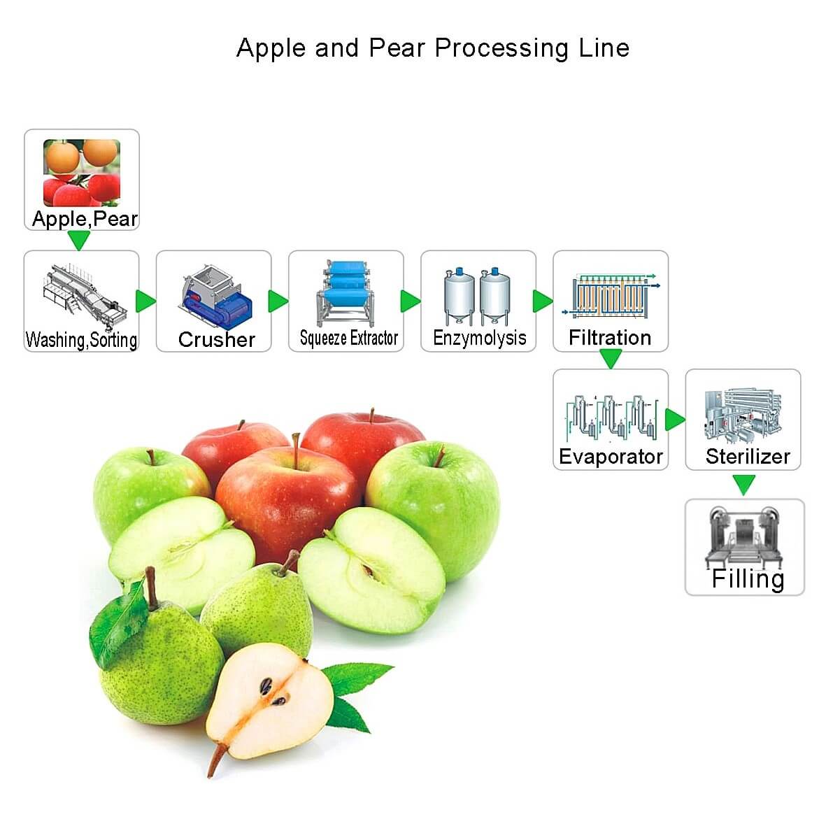 Línea de procesamiento de manzanas