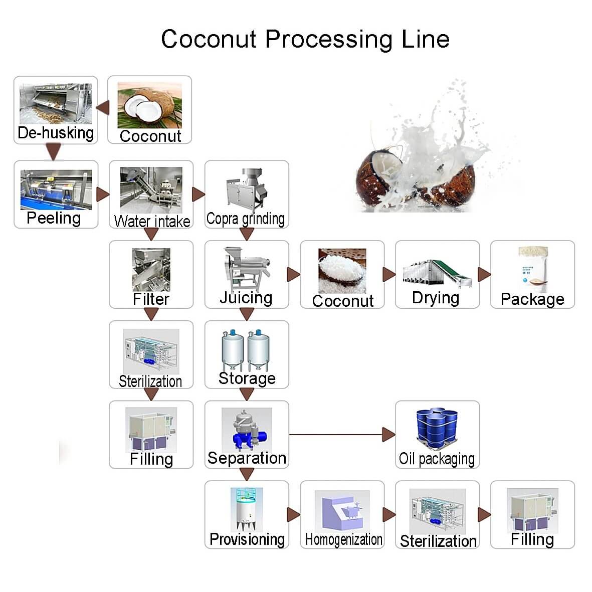 Ligne de traitement de noix de coco