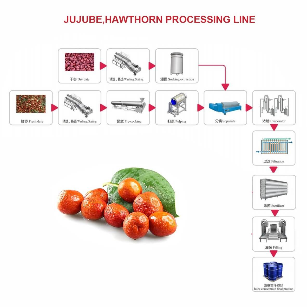 jujube processing line