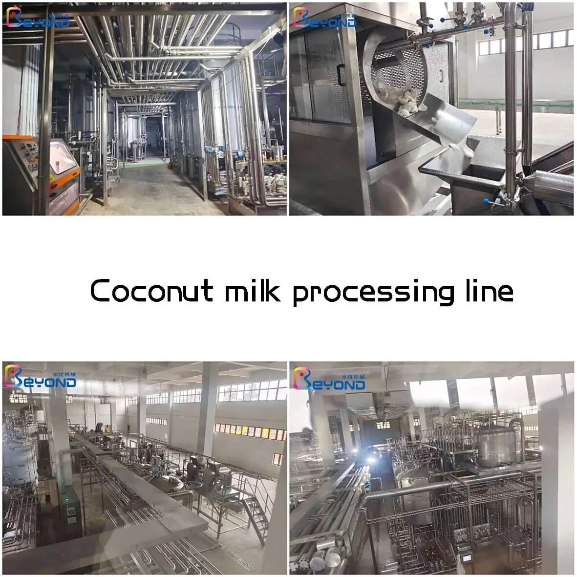 Coconut milk processing line