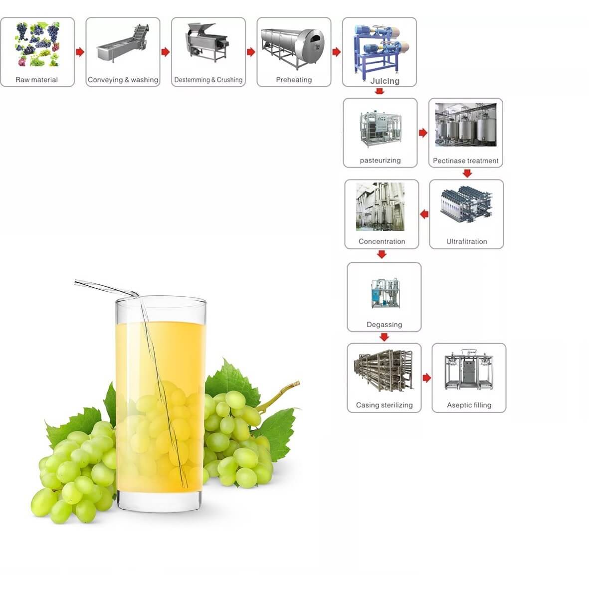 Grape juice processing line