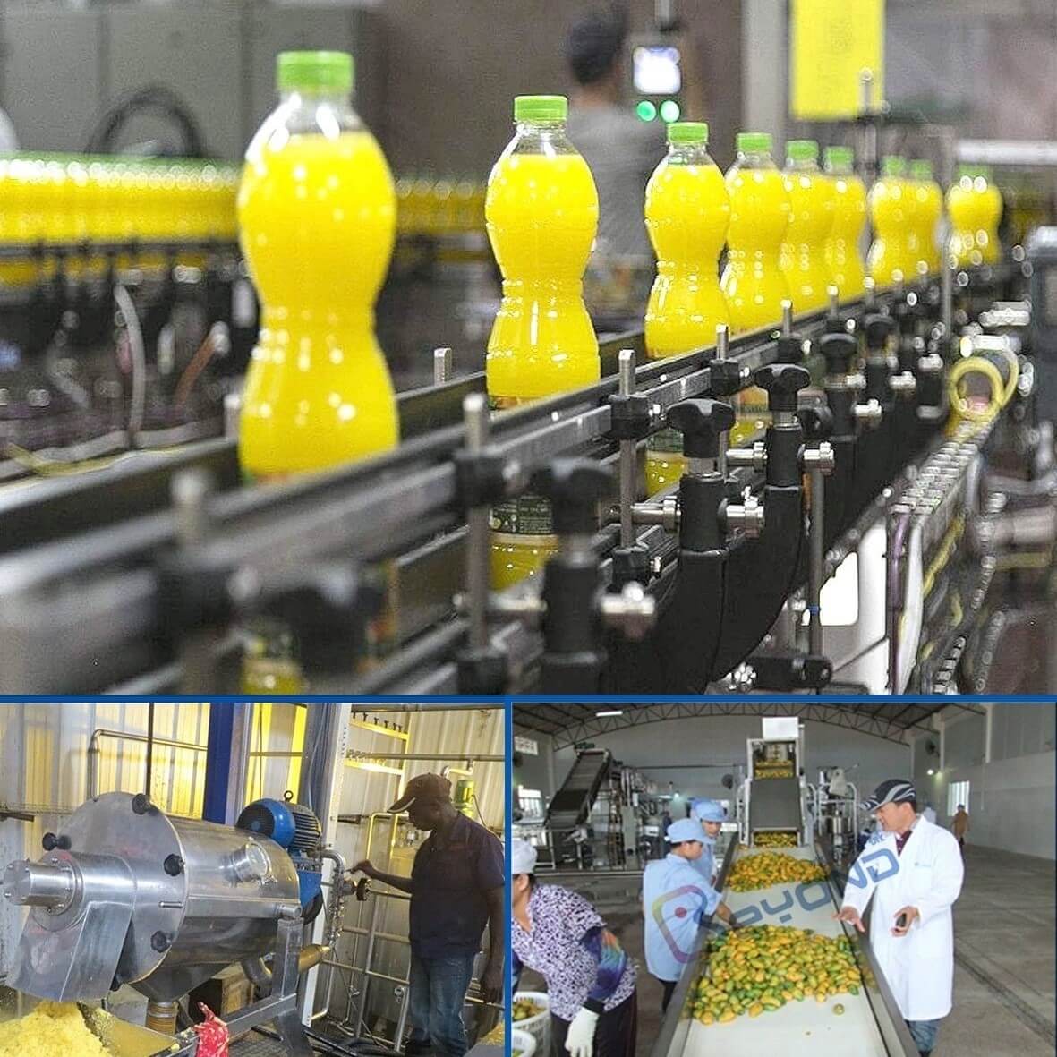 Mango juice processing plant