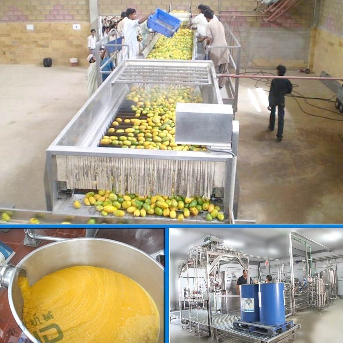 Mango juice processing plant