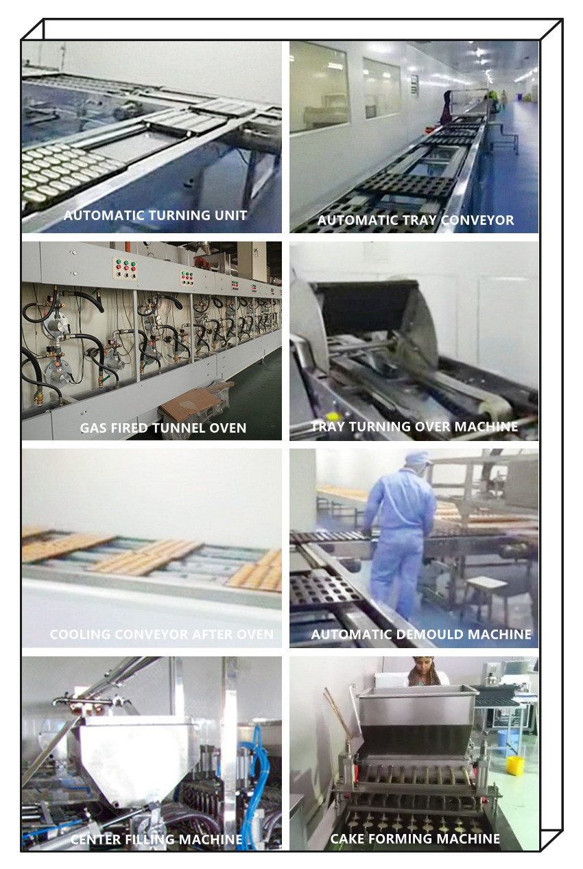 Full Automatic Cake Production Line Company Shanghai Panda Machinery