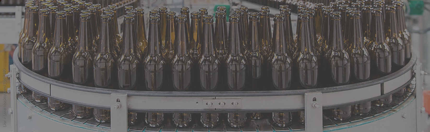beer bottling machine beer bottling machine