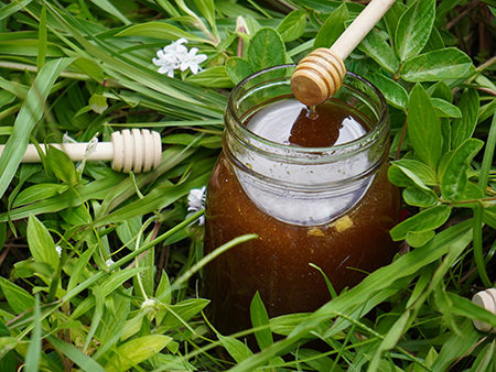 craft honey