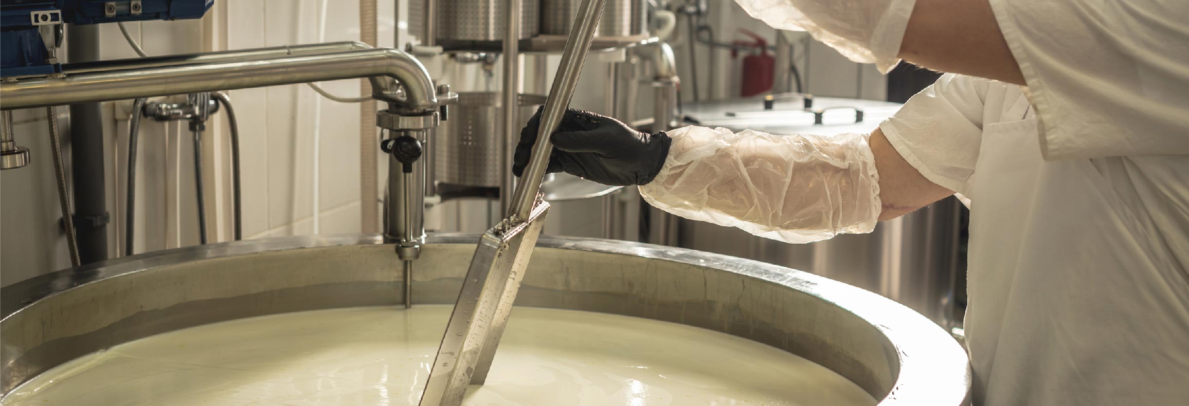 Dairy processing equipment Dairy processing equipment