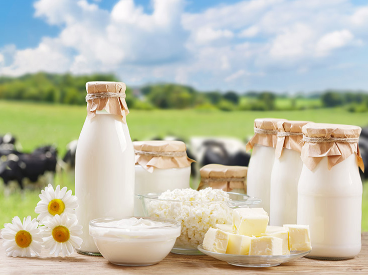 milk processing machine price milk processing machine price