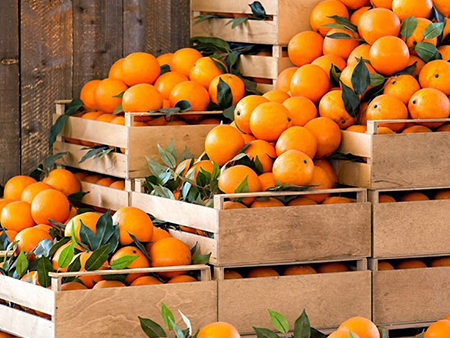 Orange Orange
