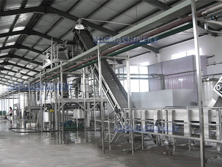 Fruit Processing Line Fruit Processing Line