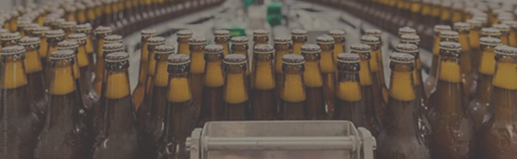 beer filling machine of beer bottle beer filling machine of beer bottle