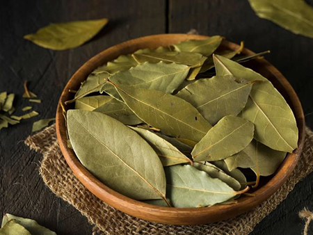bay leaves bay leaves