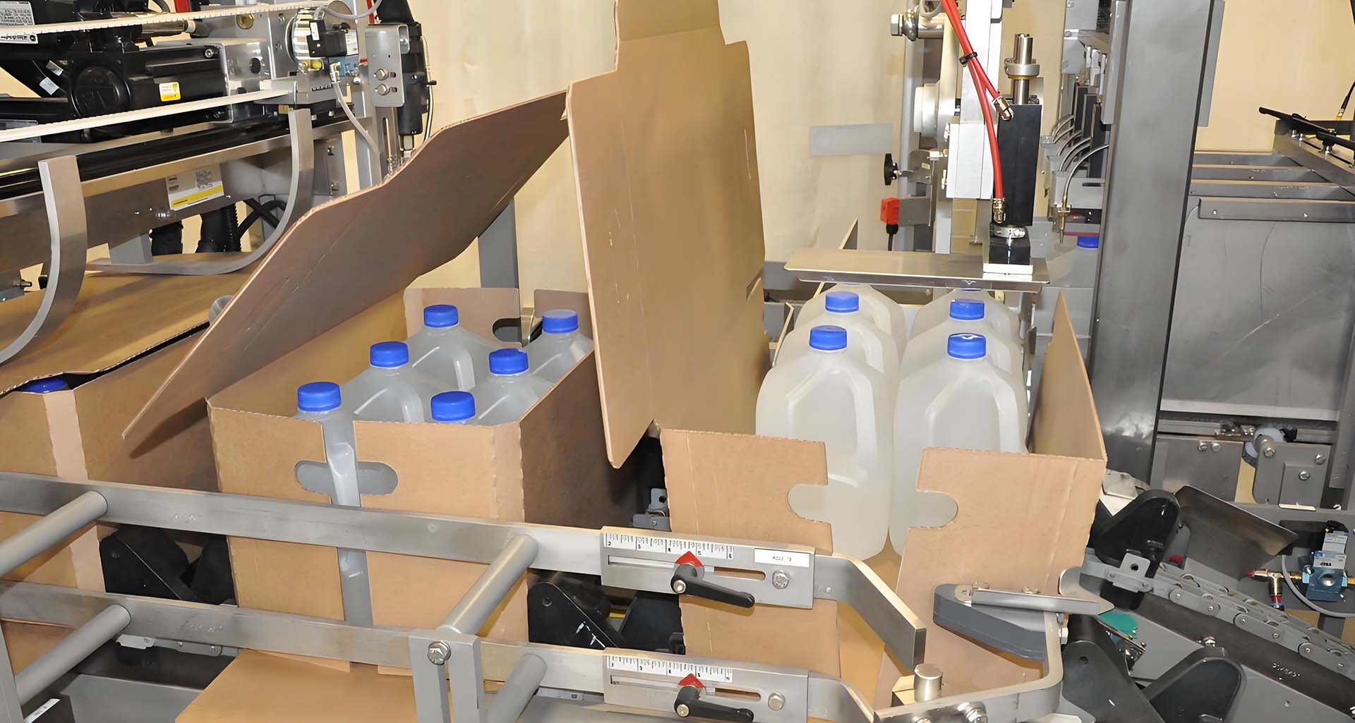 Case Packing Machine Case Packing Machine