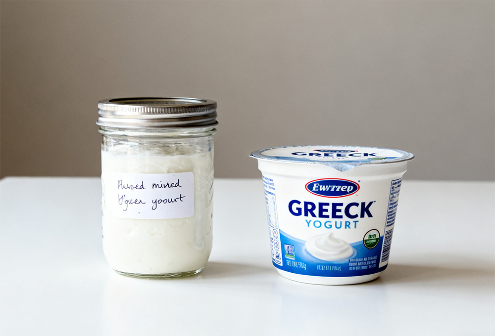 homemade and commercially available greek yogurt homemade and commercially available greek yogurt