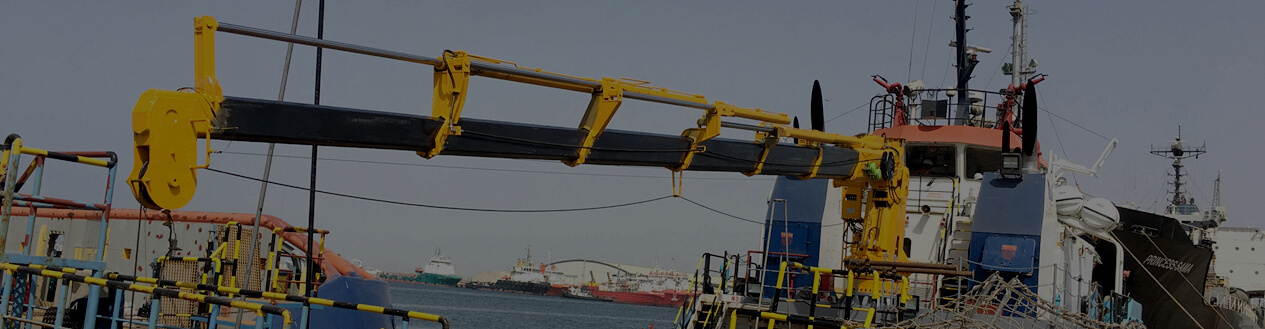 CRAWLER-TYPE MATERIAL HANDLER CRANE