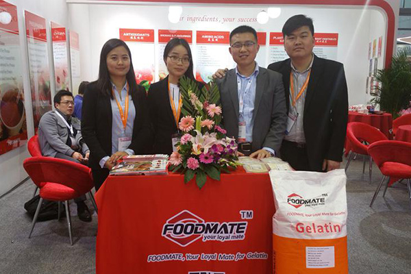 FOODMATE at FIC 2016