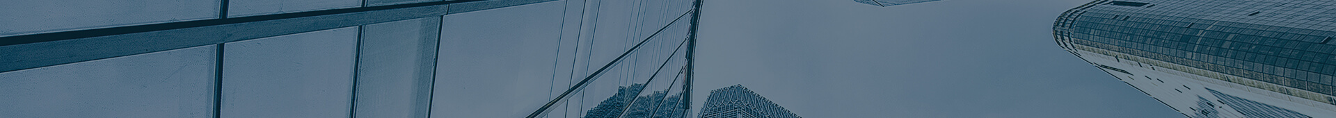 Company Profile