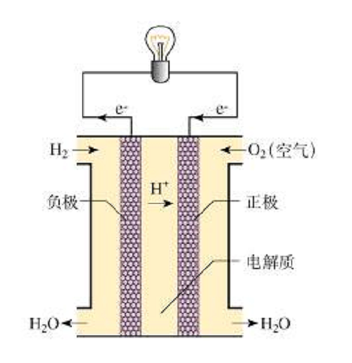 The Use of Catalysts for Hydrogen Fuel Cells