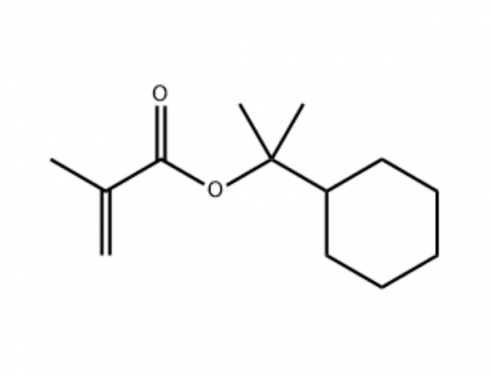 2-cyclohexylpropan-2-yl methacrylate_186585-56-8_C13H22O2